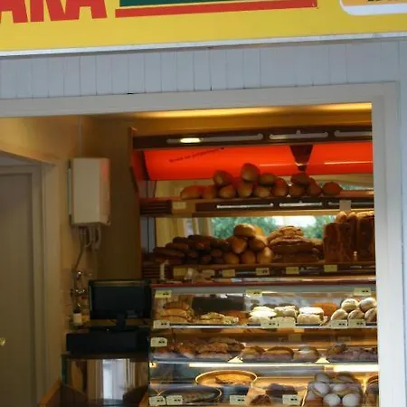 Anda プロマイナ